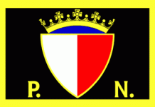 Voting begins in PN leadership election