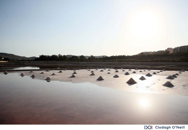 Salina Salt Museum officially opened