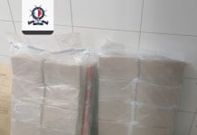 €20 million worth of cocaine found in container at Freeport