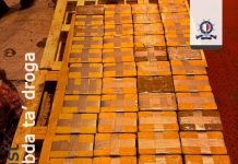 Police seize drugs at Freeport, with street value of around €14 million.