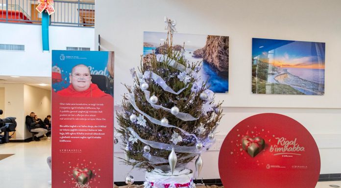 “Let’s keep the word we gave to Jake Vella so that ‘Gift with Love with a Difference’ will once again be a success” – Dr. Lydia Abela