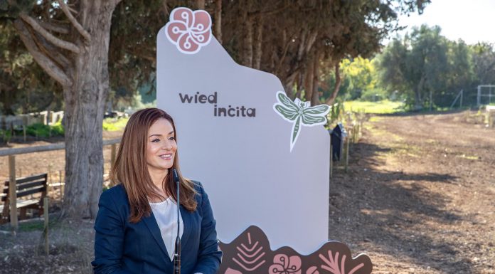 Wied Inċita open to the public: a 20,000-square-metre green space restored