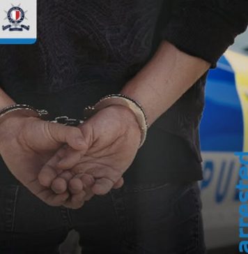 Woman and elderly man arrested in €1 million fraud case