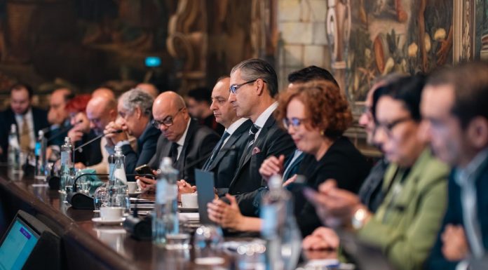 The process that will lead to the Malta Vision 2050 continues with working groups and another meeting of the MCESD