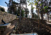 19th century Kalkara gardens regenerated in joint Project Green and Heritage Malta collaboration