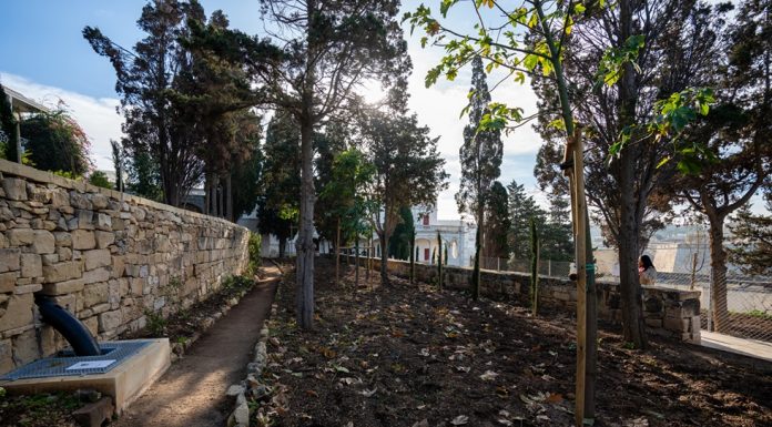 19th century Kalkara gardens regenerated in joint Project Green and Heritage Malta collaboration