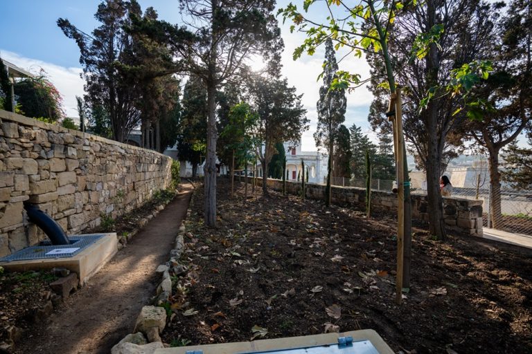 19th century Kalkara gardens regenerated in joint Project Green and Heritage Malta collaboration