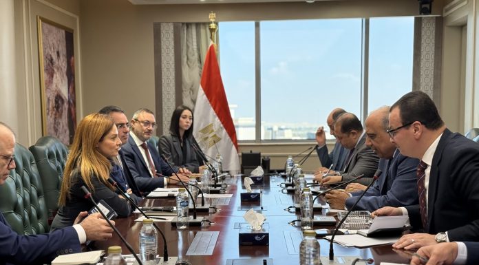 Malta and Egypt continue to strengthen their bilateral relationship in the energy sector, building on last year’s MOU signed in Malta