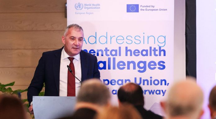 Workshop organised in collaboration with WHO on the future of mental health care