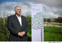 New scheme launched for farmers that will offer financial assistance for agroforestry