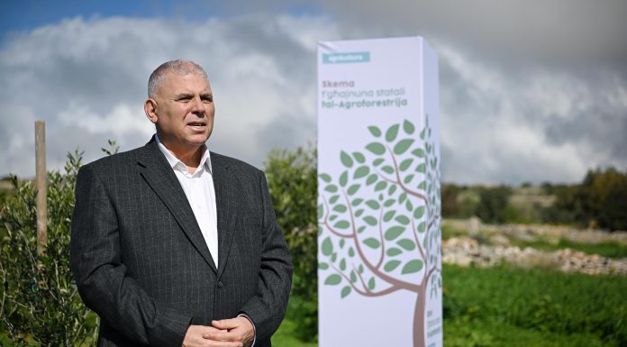 New scheme launched for farmers that will offer financial assistance for agroforestry