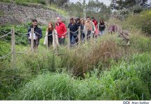 Families enjoy a 2 km scenic walk along the Chadwick Lakes Trail