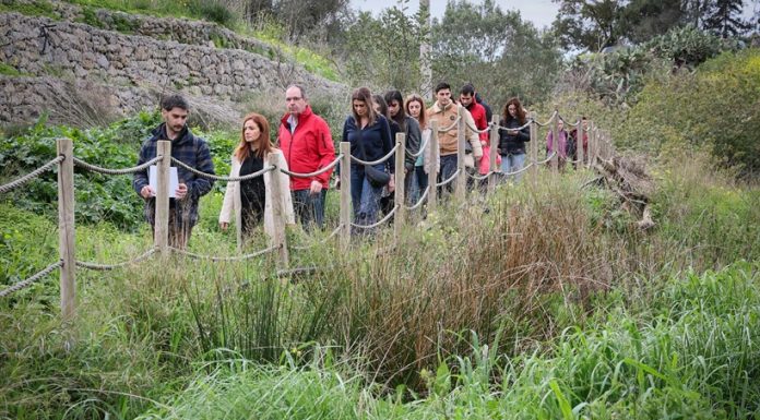Families enjoy a 2 km scenic walk along the Chadwick Lakes Trail