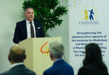Malta will be leading a Twinning Light project with Montenegro
