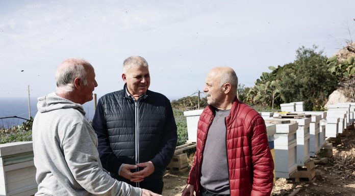 Incentive for beekeepers to combat bumblebees and climate change