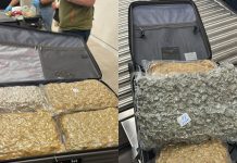 Two arrested on drugs charges in separate police operations