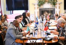Deputy Prime Minister Ian Borg chairs the 68th Commonwealth Ministerial Action Group Meeting