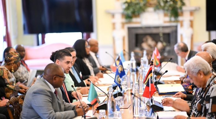 Deputy Prime Minister Ian Borg chairs the 68th Commonwealth Ministerial Action Group Meeting