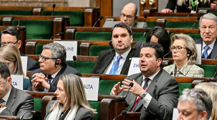 Maltese delegation participates in the Inter-Parliamentary Conference on EU Foreign and Security Policy