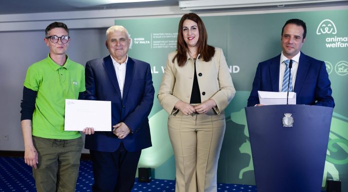 Beneficiaries of Animal Welfare Fund announced: Confirmation of commitment towards animal welfare