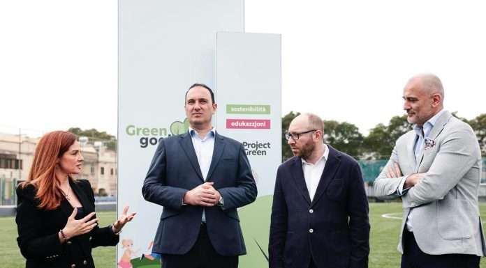 Environmental collaboration between MFA and Project Green