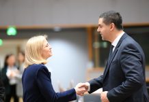 Deputy Prime Minister Ian Borg calls on EU to play a more active role in efforts for peace and security