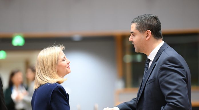 Deputy Prime Minister Ian Borg calls on EU to play a more active role in efforts for peace and security