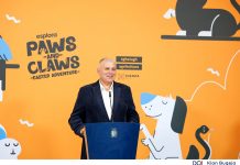 Paws and Claws Easter Adventure launches – an educational experience for families where pets will also be welcome