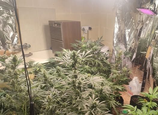 Man arrested after drugs find in Naxxar residence