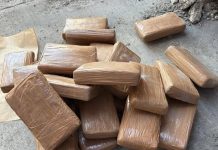 Cocaine with street value of €2 million seized in Freeport operation