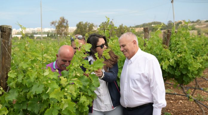 Free professional advisory service for farmers and ranchers launched to achieve a sustainable agricultural sector