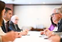 Deputy Prime Minister Ian Borg addresses the PACE Standing Committee meeting in Malta