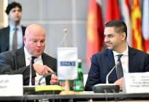 President of the Council of Europe’s Committee of Ministers, Ian Borg, addresses the OSCE Permanent Council in Vienna