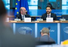 PN leader Alex Borg addresses EPP group meeting during Brussels visit