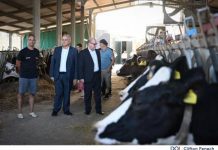 More than €70 million in the hands of Maltese and Gozitan farmers and herdsmen