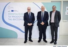 Innovation in the use of slaughterhouse by-products: A project to create sustainable construction materials