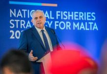 The National Fisheries Strategy for Malta 2026–2036 is launched for public consultation