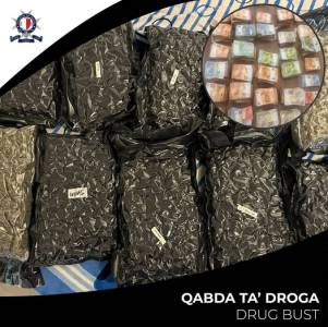 Police bust crime ring