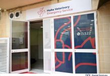 Three new initiatives launched as part of the National Veterinary Emergency Service