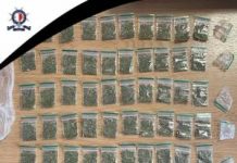 Two arrested on drugs charges in Marsa