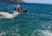 AFM rescue man who fell into sea near Fort St Elmo