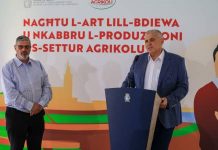 Applications open for temporary lease of agricultural land to farmers and youth
