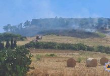 Firefighters tackle grass fire near Victoria, Gozo