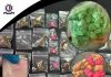 Three men arrested in separate drugs raids