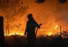 More than 320,000 now evacuated in France and Spain as wildfires continue to spread