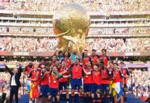 Spain win World Cup with late Torres strike