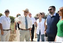Madliena woodland granted Tree Protection Area status