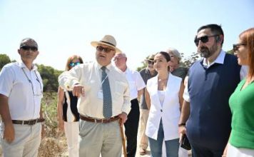 Madliena woodland granted Tree Protection Area status