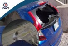 Romanian arrested after damaging car in Swieqi