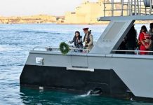 President calls for peaceful solution to Strait of Hormuz situation